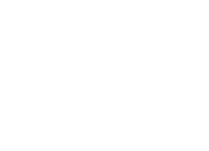 Citem